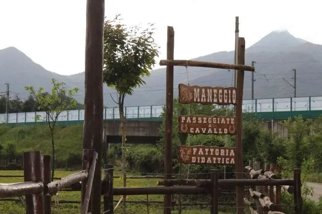 La Tenuta del Campo di Sopra - Genel