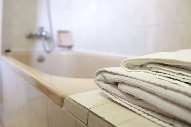 La Terraza de Picos - Banyo Tipleri
