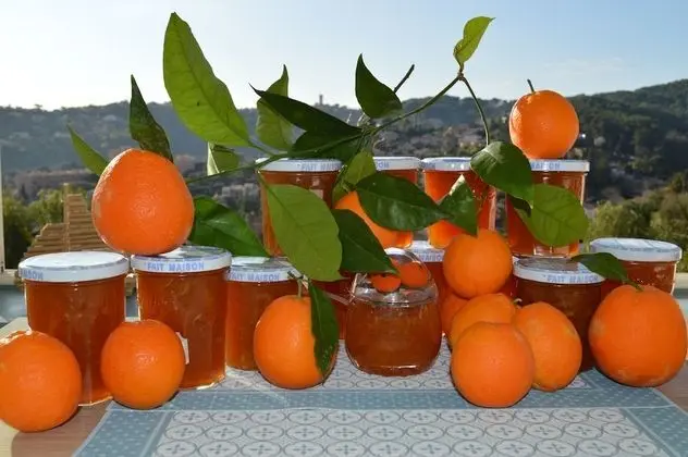 Villa La Terre Des Lauriers B&B - Yerinde Yemek