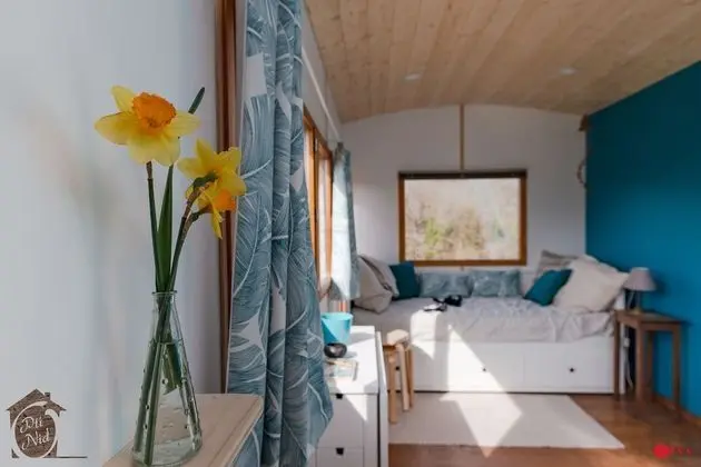 La Tête dans les Étoiles