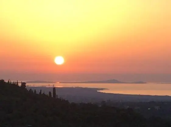 La Valle Dei Corbezzoli