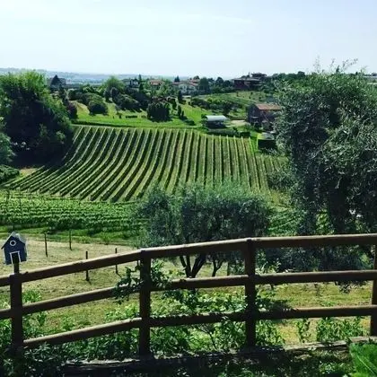 La Vigna di Sarah - Dış Mekan