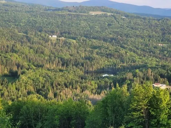 Ladd Pond Cabins and Campground