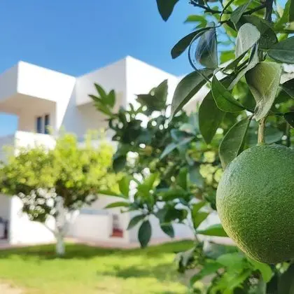 Ladikos Garden