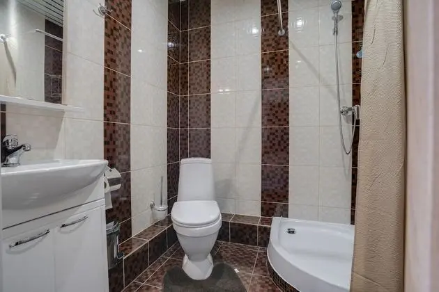 Ladomir on Shchelkovskaya - Banyo Tipleri