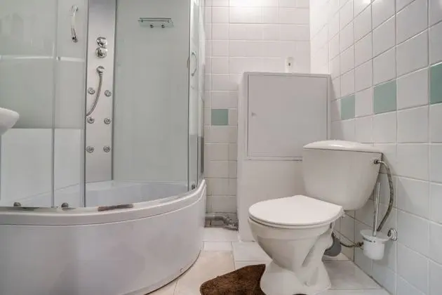 Ladomir Zelev - Banyo Tipleri