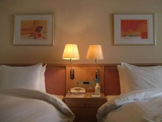 Hotel Lake Alster Alza Izumiotsu - Oda