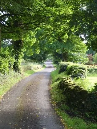 Lake Avenue House - Dış Mekan
