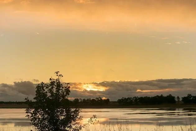Lake Bolac Motel - Plaj