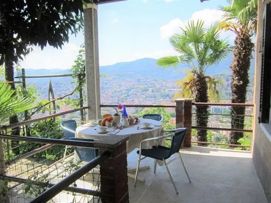 Lake and City Panorama