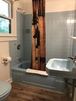 Lake George Bear's Den - Banyo Tipleri