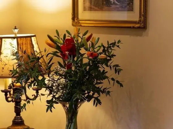 Lake House B&B - Lobi