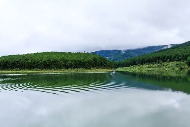 The Lake House Dalat - Hostel - Dış Mekan