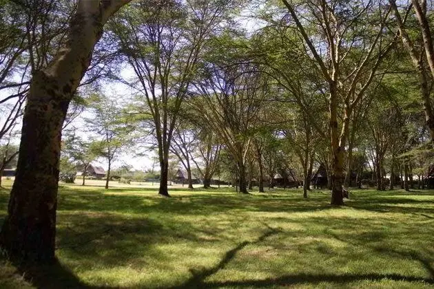Lake Naivasha Resort