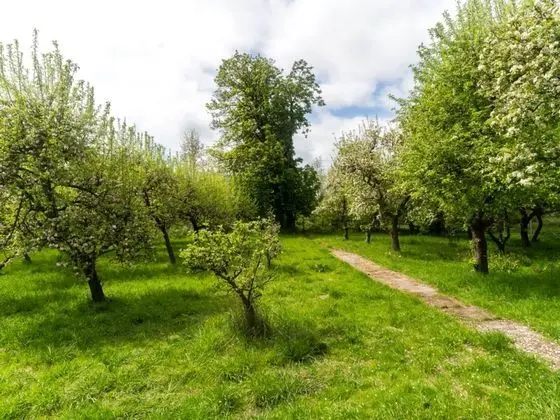 Lake View Apartment in Klein Pravtshagen near Seabeach with Garden - Dış Mekan