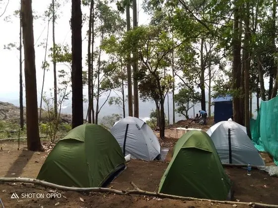 Lake View Camp