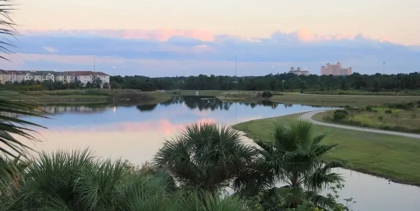 Lake View Joy