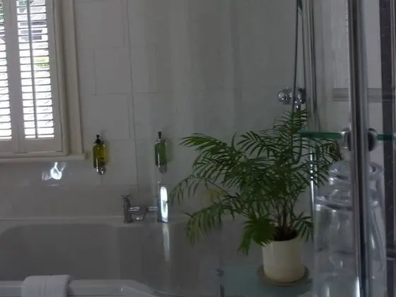 Lake View - Banyo Tipleri