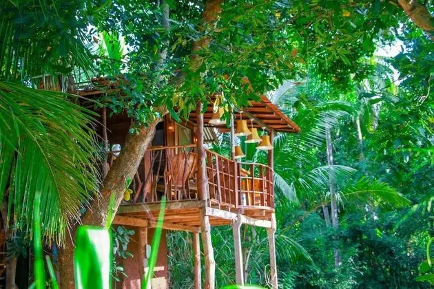 Lake View Tree House