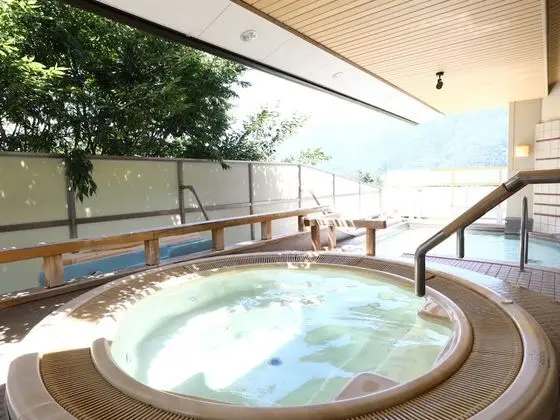 Lakeland Hotel Mizunosato - Havuz