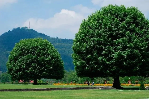 The Lalit Grand Palace Srinagar - Dış Mekan
