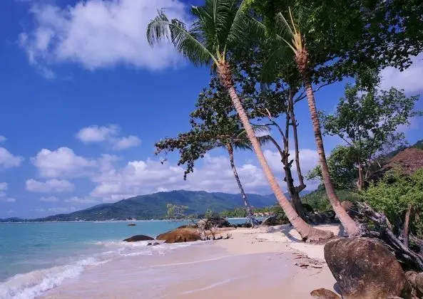 Lamai Bay View Resort - Plaj