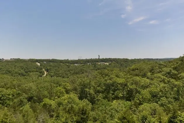 Lambo's Scenic View