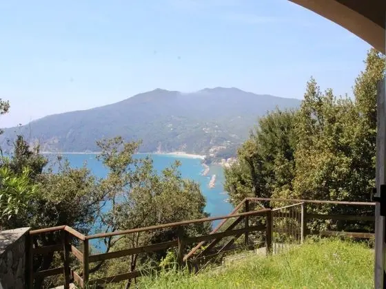 Lambrusca Moneglia in Moneglia - Oda