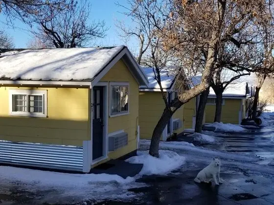 Lamplighter Cabins & Suites - Dış Mekan