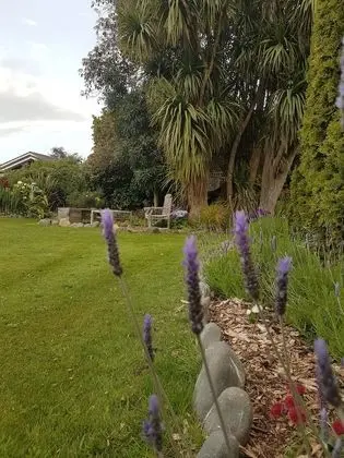 Lancewood Lodge - Dış Mekanlar