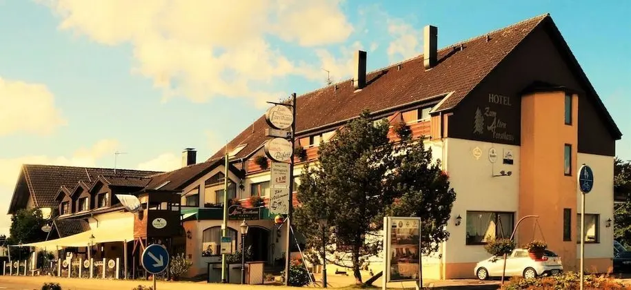 Land Gut Hotel Zum Alten Forsthaus - Dış Mekan
