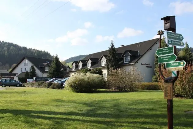 Landhotel Pockau - 1