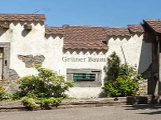 Landgasthaus Grüner Baum - Dış Mekan