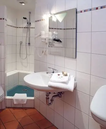 Landgasthof Buch - Banyo Tipleri