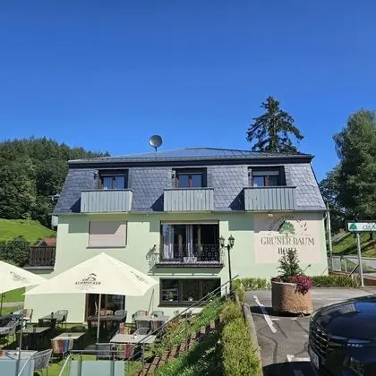 Hotel Landgasthof Grüner Baum - Dış Mekan