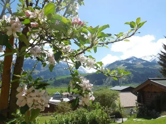 Landhaus Kitzblick - Dış Mekan