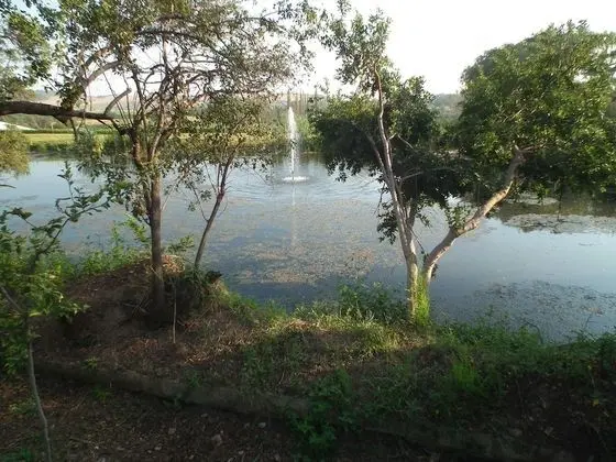 Lanseria Country Estate - Dış Mekan