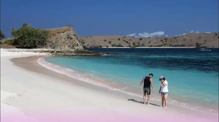 Laprima Hotel Komodo - Plaj
