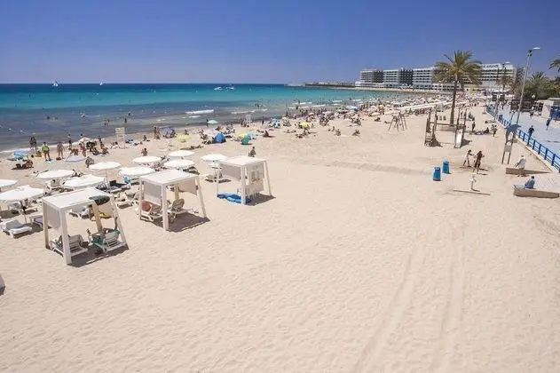 LARGE Apartment with large and sunny Terrace - Garden & Outdoor Gym, ALICANTE CENTER - Dış Mekan