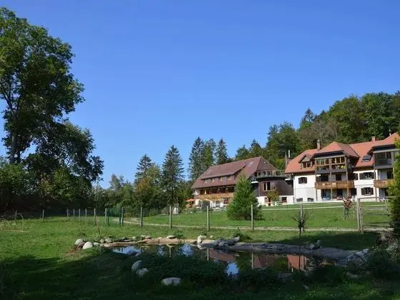 Large Apartment in Urberg