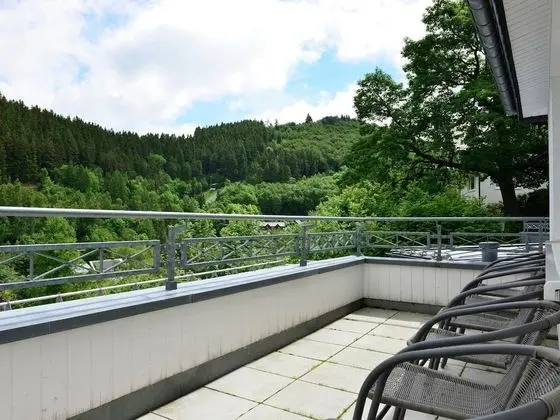 Large Apartment in Willingen With Balcony