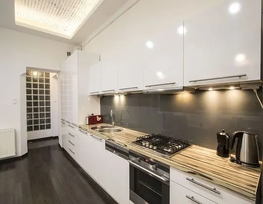 Large Central Apartment Fehérhajó - Mutfak