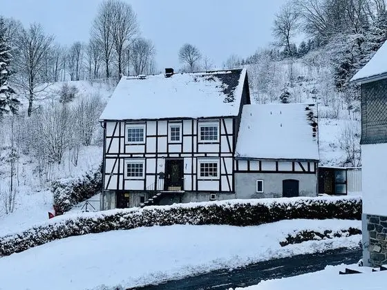 Large Holiday Home near Winterberg with Garden, Terrace, & Garage