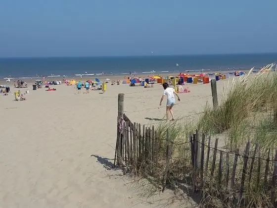 Large Holiday Home in Noordwijk Directly Behind the Dunes - Dış Mekan