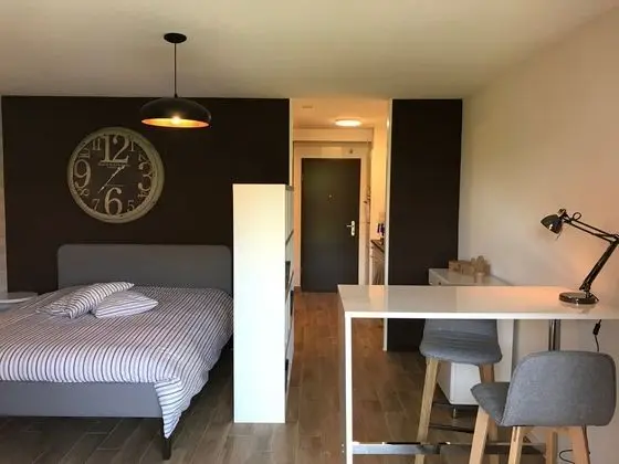 Large Studio Near Epfl And Lausanne City Center - Öne Çıkan Resim