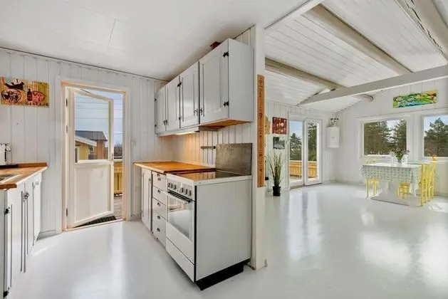 Larkollen vacation house - Mutfak
