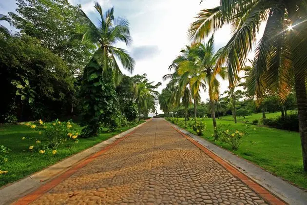 Las Alamandas Resort