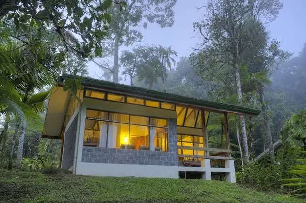 Las Cruces Biological Station - Oda Düzeni