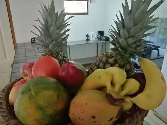 Las Quintas Casas para Vacacionar - İç Mekan