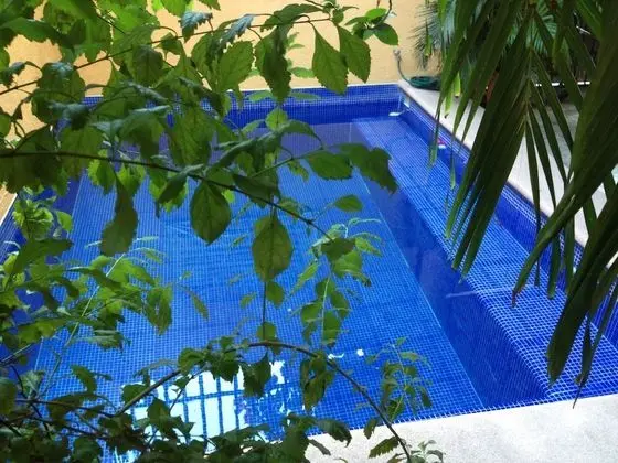 Hotel Las Salinas - Havuz